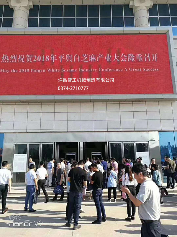 平輿白芝麻大會場外