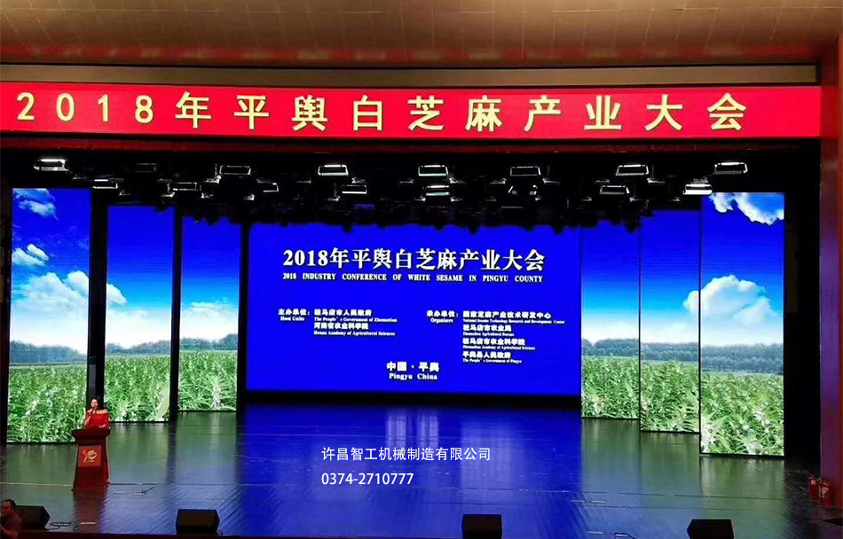 平輿芝麻大會開幕盛典