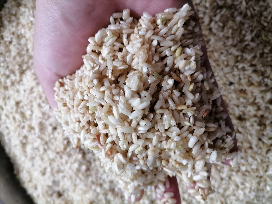 許昌智工電磁炒貨機(jī)