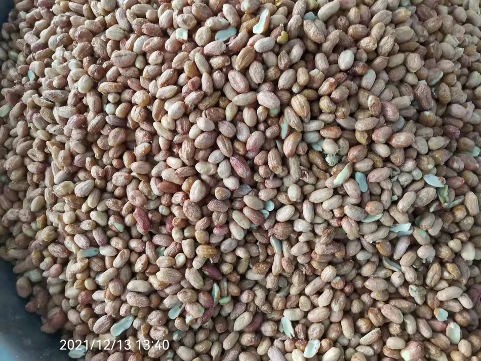 電磁炒貨機(jī)