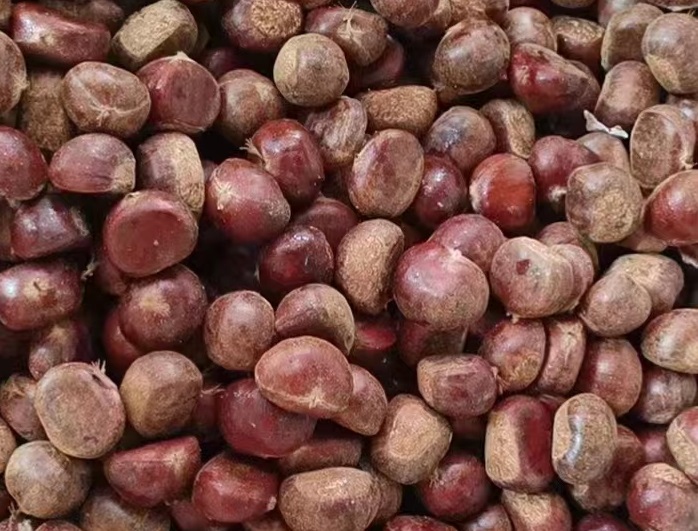 電磁炒貨機(jī)