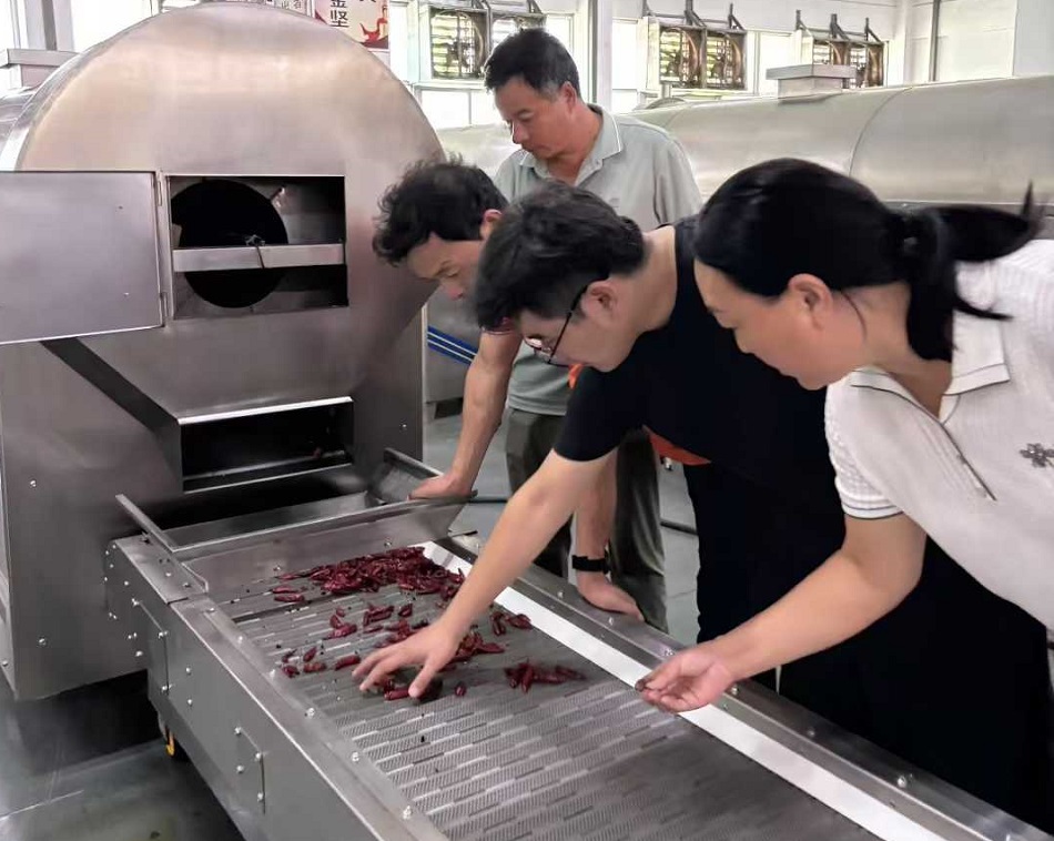 許昌智工流水線電磁炒貨機(jī)